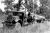 Eric and Lindsay Krome hauling logs on a 'Blitz' truck from Kromes Farm, North Arm to Wilkinson's Sawmill at Yandina, 1960s